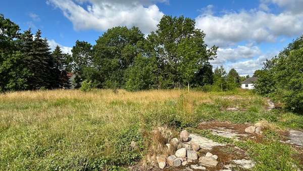 Ansicht - Grundstück in 17391 Medow mit 6838m² kaufen