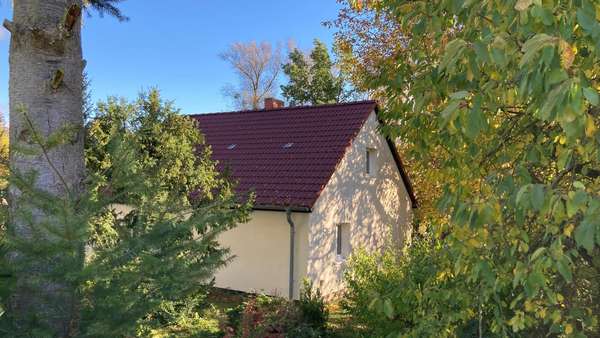 Blick auf den Giebel - Einfamilienhaus in 17237 Hohenzieritz mit 60m² kaufen