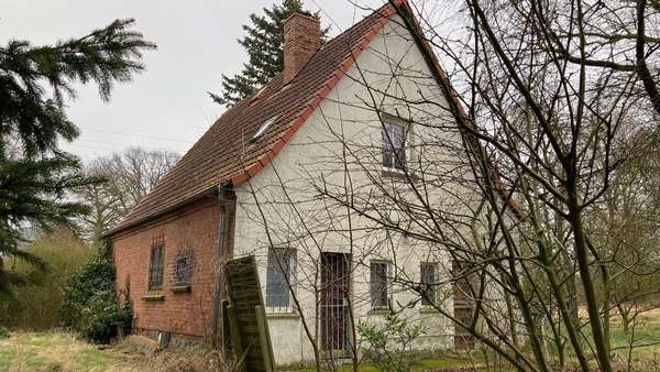 Giebel und Rückseite - Einfamilienhaus in 17348 Woldegk mit 83m² kaufen