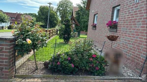 Vorgarten - Einfamilienhaus in 17237 Hohenzieritz mit 135m² kaufen
