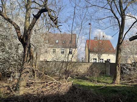 Kleiner verwilderter Teil - Grundstück in 14943 Luckenwalde mit 1004m² kaufen