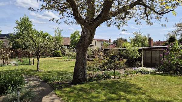 Ansicht - Einfamilienhaus in 16515 Oranienburg mit 92m² kaufen