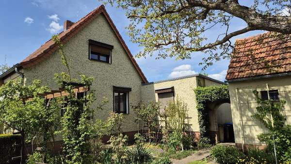 Gartenansicht - Einfamilienhaus in 16515 Oranienburg mit 92m² kaufen
