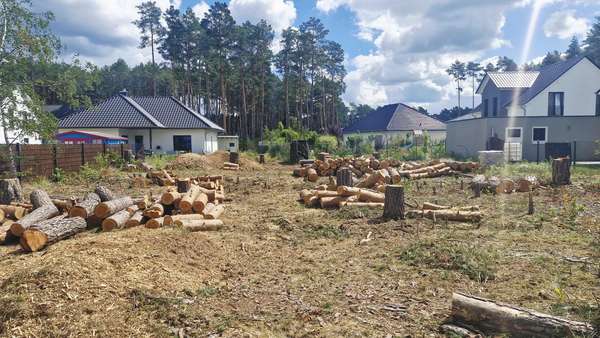 Grundstück - Grundstück in 14822 Borkwalde mit 833m² kaufen