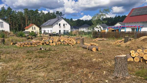 Grundstück - Grundstück in 14822 Borkwalde mit 833m² kaufen