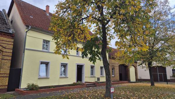 Ansicht von der Straße aus - Bauernhaus in 14947 Nuthe-Urstromtal mit 184m² kaufen