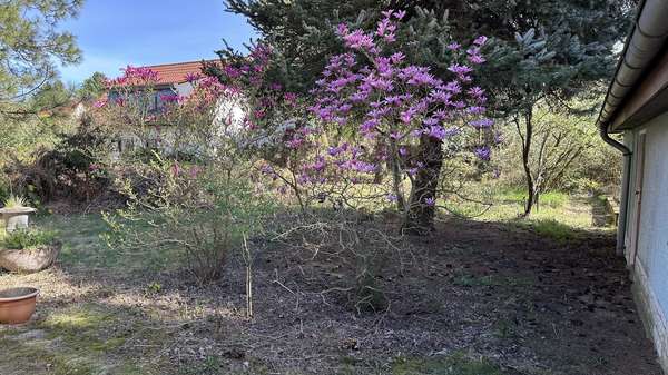 Blühende Garten Blühende Garten - Einfamilienhaus in 14478 Potsdam mit 175m² kaufen