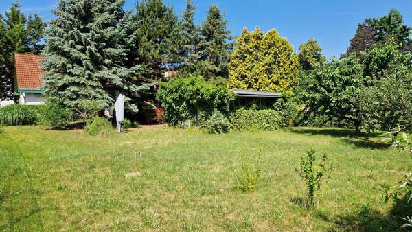 Blick in den Garten - Einfamilienhaus in 14513 Teltow mit 172m² kaufen