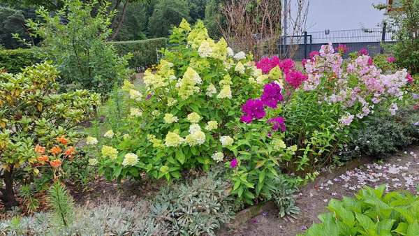 Blumen im Frühjahr - Grundstück in 14469 Potsdam mit 792m² kaufen