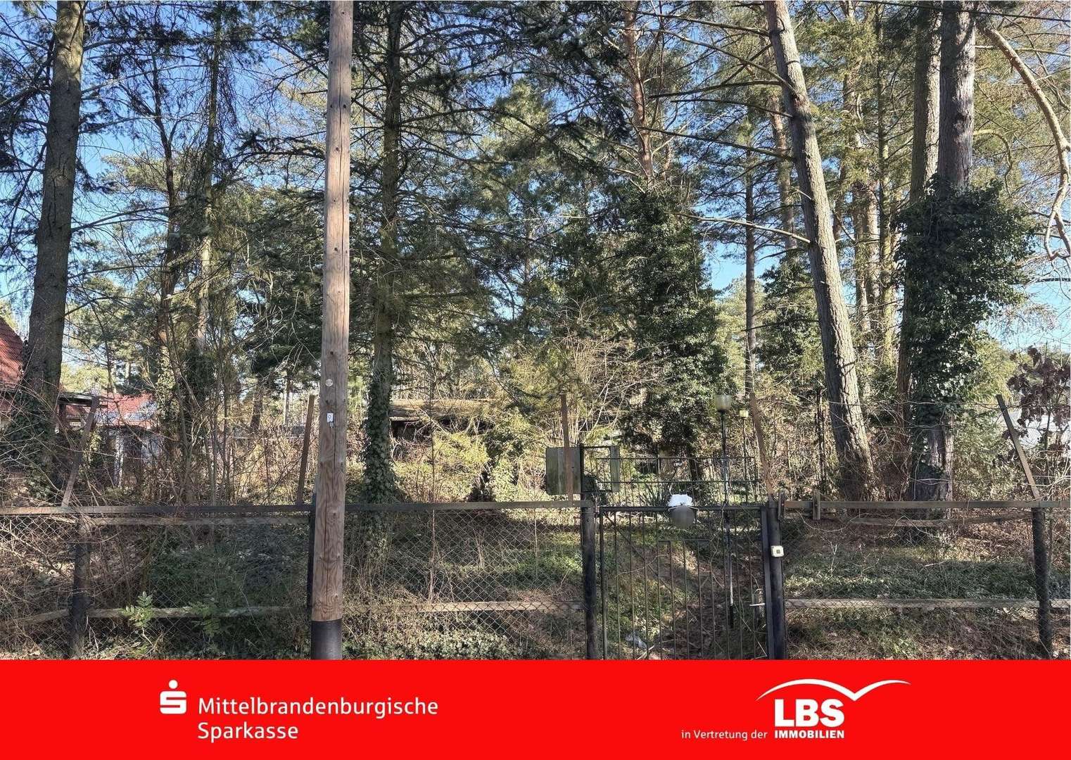 Idyllisches Wohnbaugrundstück - Grundstück in 15712 Königs Wusterhausen mit 1003m² kaufen