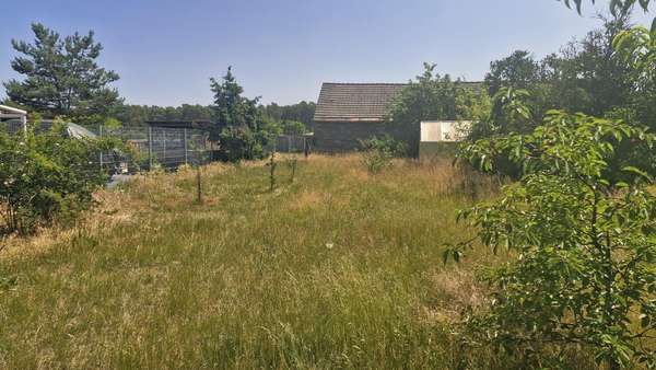 Garten Garten - Einfamilienhaus in 14806 Ziezow mit 67m² kaufen