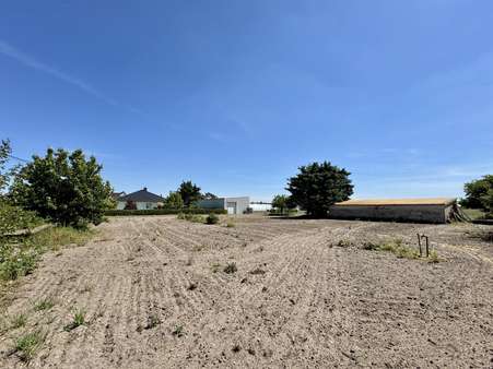 Blick Richtung Süd-Ost Blick Richtung Süd-Ost - Grundstück in 14550 Groß Kreutz mit 951m² kaufen