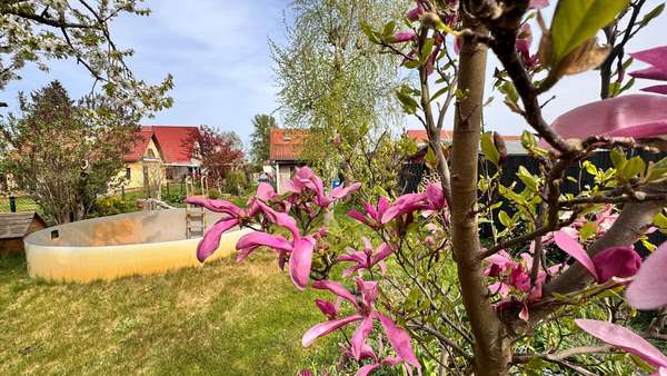 Gartenbereich - Doppelhaushälfte in 16767 Leegebruch mit 102m² kaufen