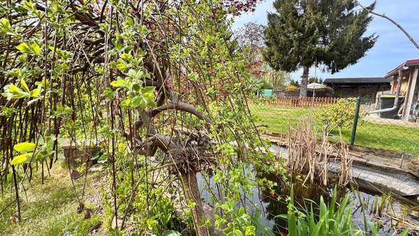 Gartenteich - Doppelhaushälfte in 16767 Leegebruch mit 102m² kaufen