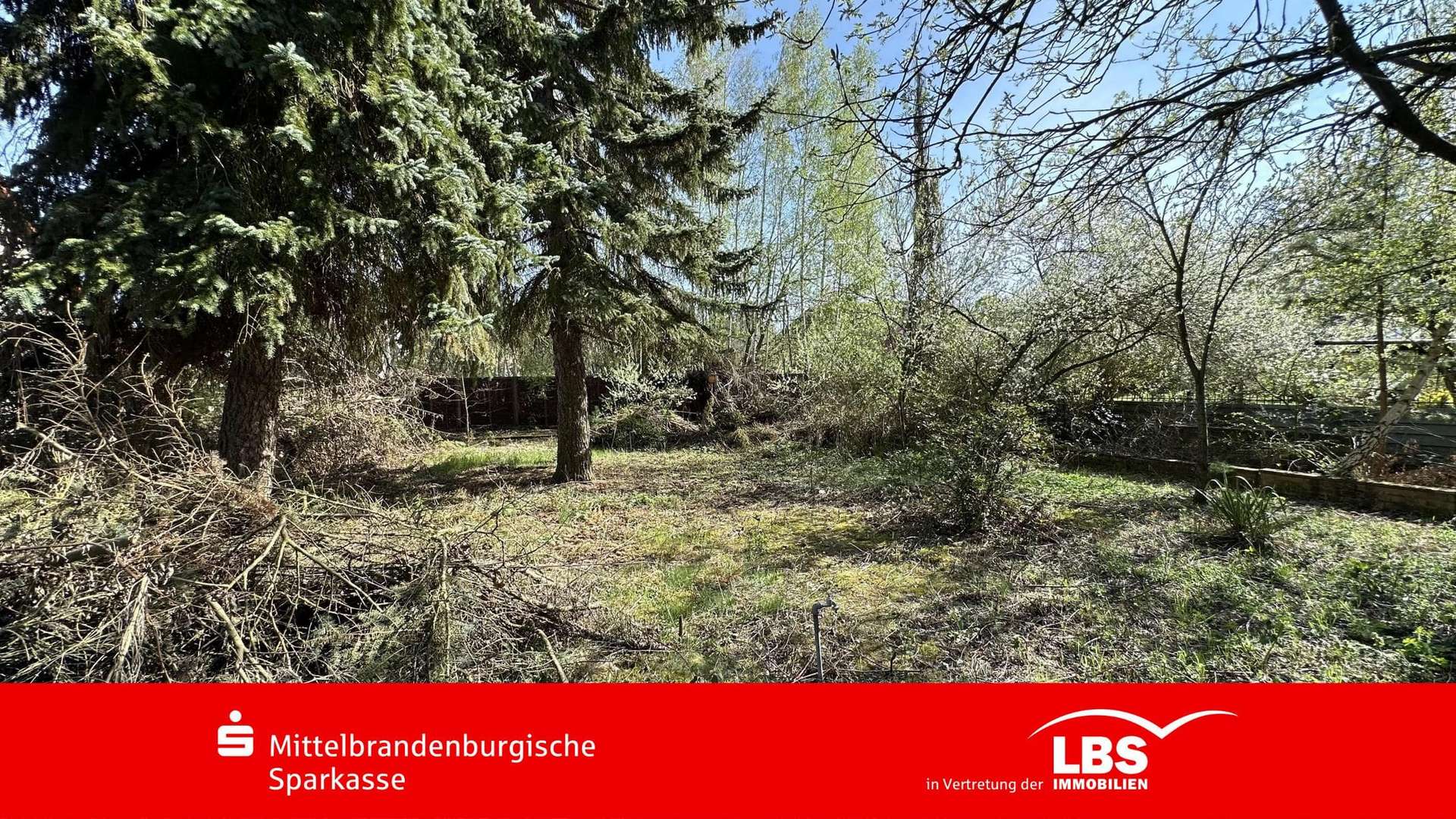 Blick auf das Grundstück Blick auf das Grundstück - Grundstück in 14478 Potsdam mit 592m² kaufen