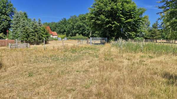 Garten - Einfamilienhaus in 14827 Wiesenburg mit 105m² kaufen