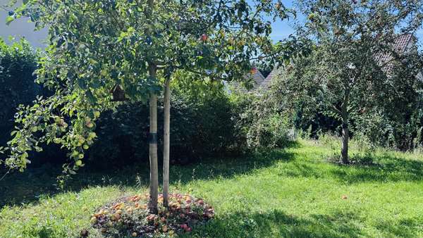 Apfelbaum im Garten - Einfamilienhaus in 14469 Potsdam mit 140m² kaufen