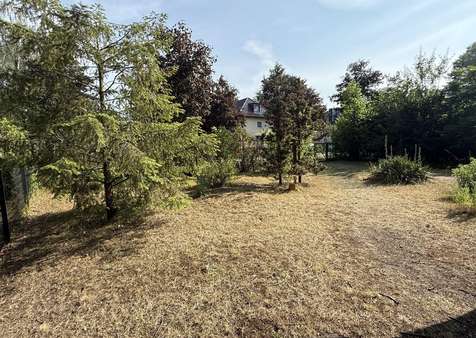 Vorgartenbereich Vorgartenbereich - Einfamilienhaus in 15732 Eichwalde mit 120m² kaufen