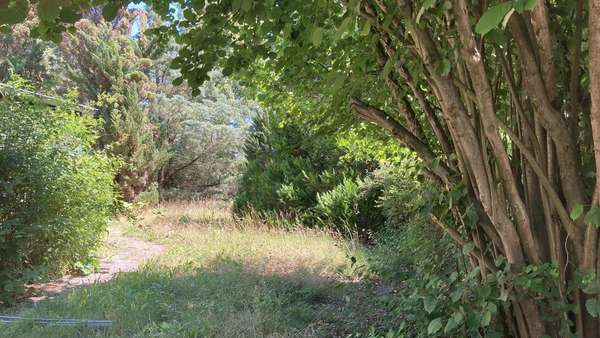 Garten - Grundstück in 14656 Brieselang mit 984m² kaufen