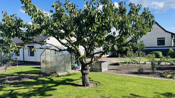 Garten Garten - Doppelhaushälfte in 14770 Brandenburg mit 80m² kaufen