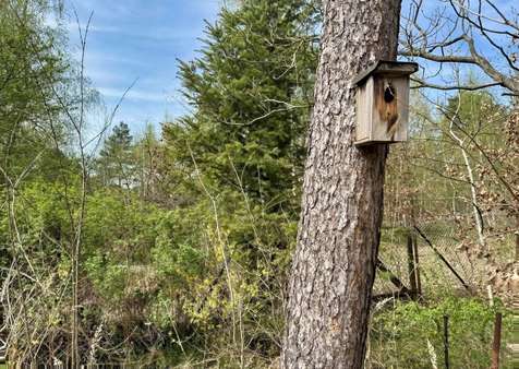 Idyllische Lage - Grundstück in 15754 Heidesee mit 874m² kaufen