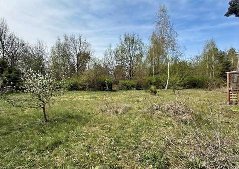 In ruhiger Lage - Grundstück in 15754 Heidesee mit 874m² kaufen