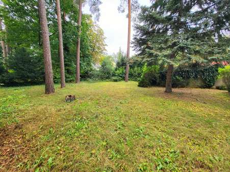 Garten - Einfamilienhaus in 14532 Kleinmachnow mit 122m² kaufen