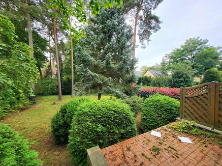 Gartenansicht Terrasse - Einfamilienhaus in 14532 Kleinmachnow mit 122m² kaufen