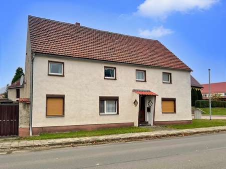 Gesamtansicht - Bauernhaus in 14913 Niederer Fläming mit 167m² kaufen