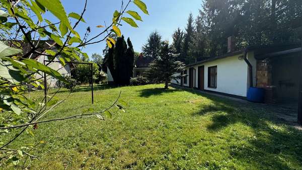 Blick in den Garten - Einfamilienhaus in 16548 Glienicke mit 80m² kaufen
