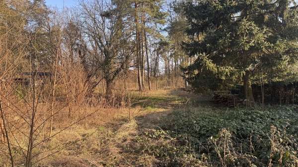 Sicht zur Straße - Grundstück in 15732 Schulzendorf mit 1336m² kaufen