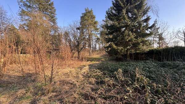 Sicht zur Straße - Grundstück in 15732 Schulzendorf mit 1336m² kaufen