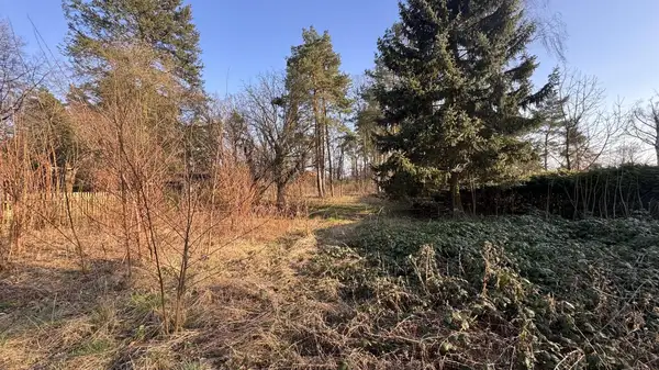 Schönes Baugrundstück in ruhiger Lage