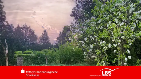 Grundstück im Dornröschen-Schlaf 