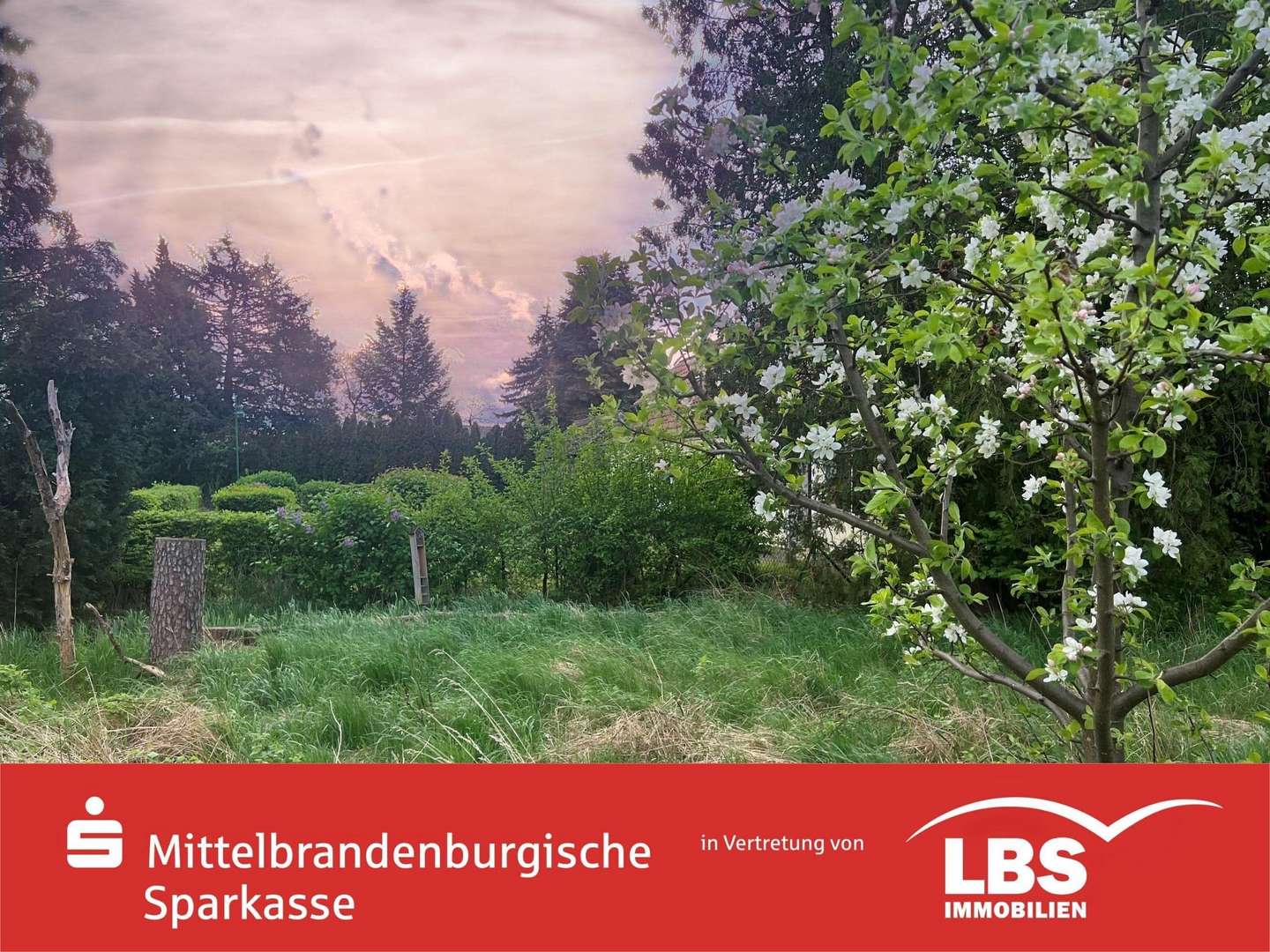 Baugrundstück m. v. Baugeneh. - Grundstück in 16359 Biesenthal mit 351m² kaufen