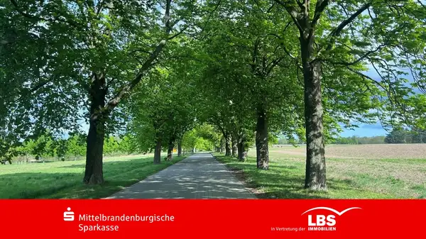Grundstück im Dornröschen-Schlaf 