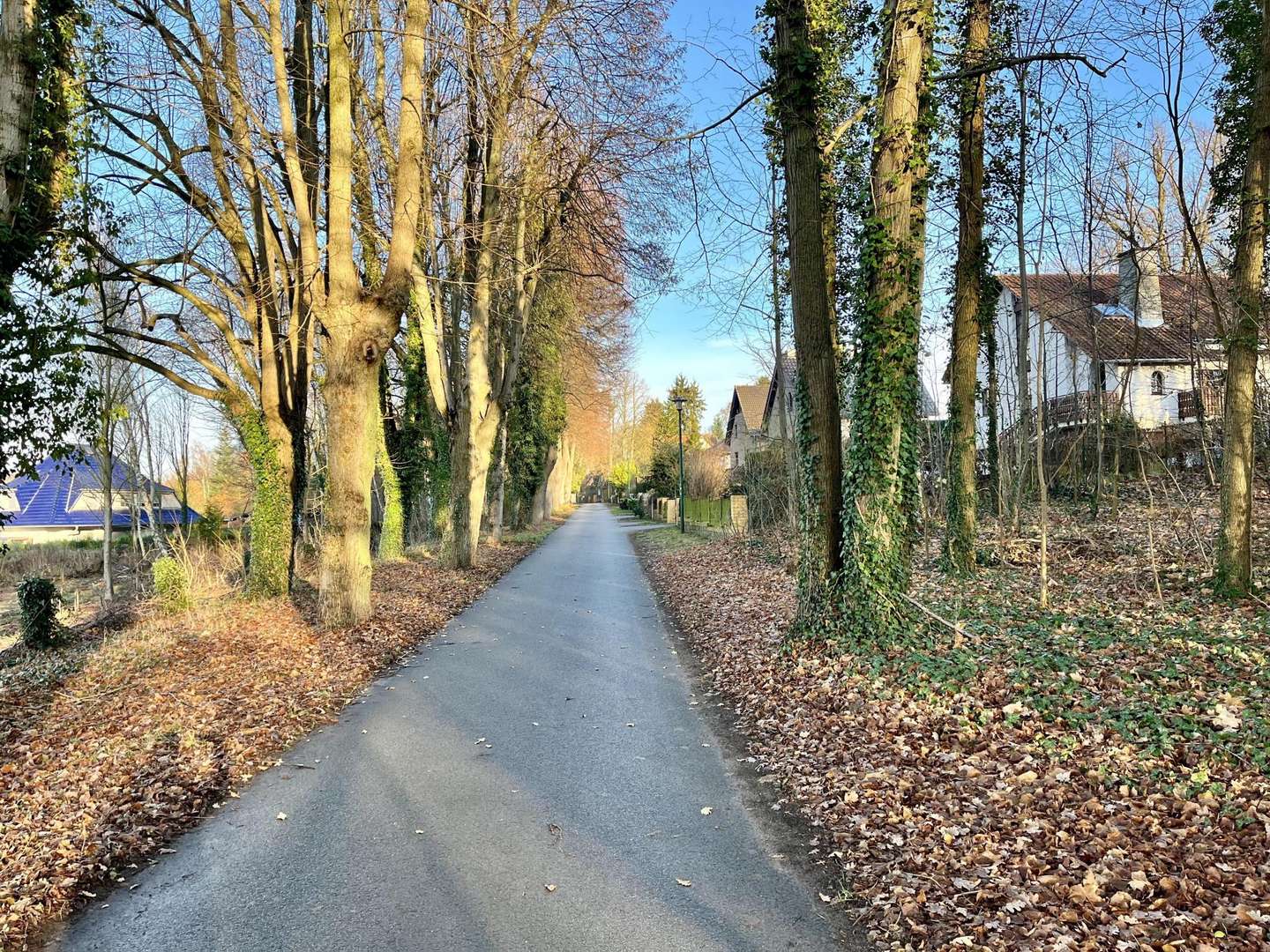 Goetheweg - Grundstück in 16928 Pritzwalk mit 608m² kaufen