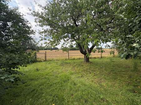 Blick_nach_hinten - Einfamilienhaus in 16928 Gerdshagen mit 155m² kaufen