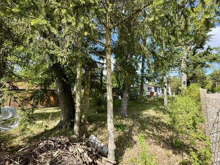 Außenansicht - Grundstück in 16515 Zühlsdorf mit 918m² kaufen