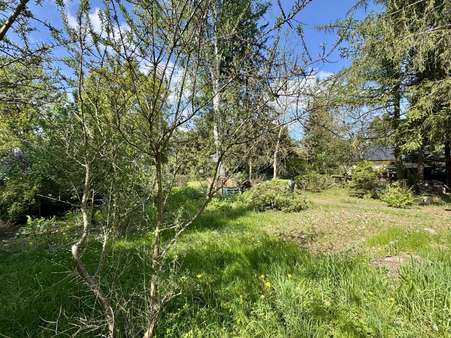 Außenansicht - Grundstück in 16515 Zühlsdorf mit 918m² kaufen