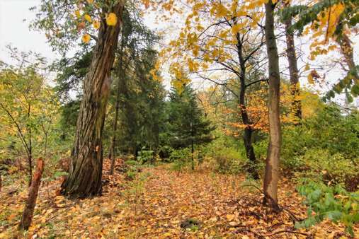 Grundstück - Einfamilienhaus in 16244 Schorfheide mit 124m² kaufen