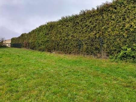 Ansicht - Grundstück in 16230 Chorin mit 790m² kaufen