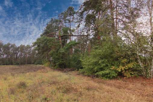 Fläche - Beispielbild Fläche - Beispielbild - Grundstück in 16244 Schorfheide mit 326468m² kaufen
