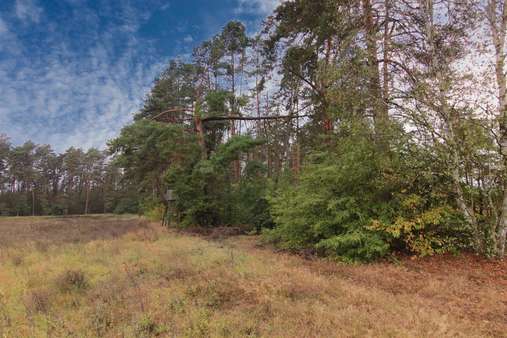 Fläche - Beispielbild - Grundstück in 16244 Schorfheide mit 324068m² kaufen