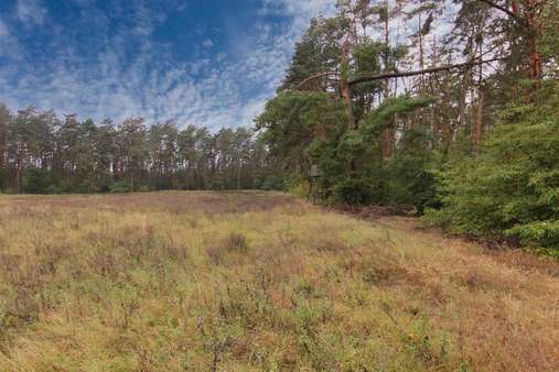 Fläche - Beispielbild - Grundstück in 16244 Schorfheide mit 324068m² kaufen