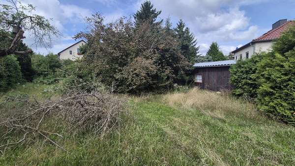 Gartenansicht 1 Gartenansicht 1 - Einfamilienhaus in 15537 Grünheide mit 52m² kaufen