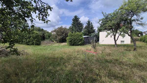 Gartenansicht 2 Gartenansicht 2 - Einfamilienhaus in 15537 Grünheide mit 52m² kaufen