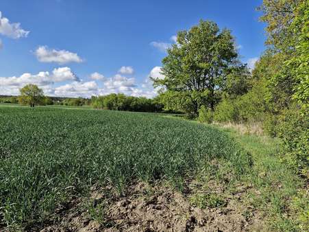 Feldblick - Grundstück in 15378 Herzfelde mit 1524m² kaufen