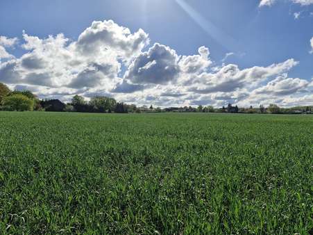 Landschaft - Grundstück in 15378 Herzfelde mit 1524m² kaufen