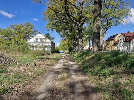 Zuwegung - Grundstück in 15378 Herzfelde mit 1524m² kaufen